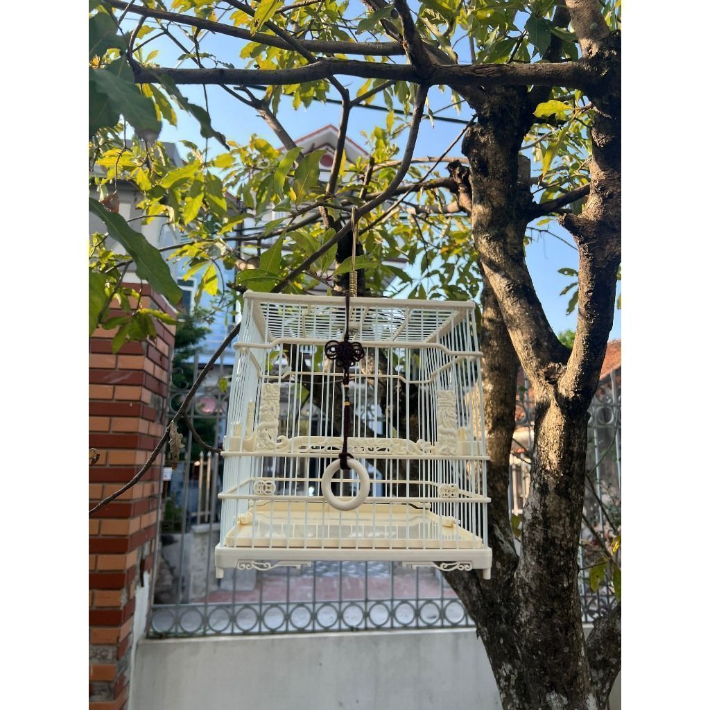 Lồng Khuyên vuông Nam Kinh Trung Quốc ( Nhựa ABS Cao cấp ) - Quang Lông Chim