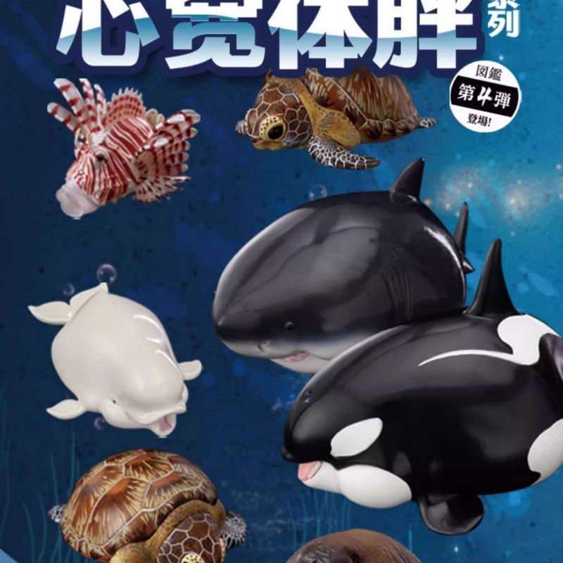 Animal Planet: The Happy and Plump Series, Tập 4: Hộp mù phiên bản đại dương - Trang trí Đồ trang tr