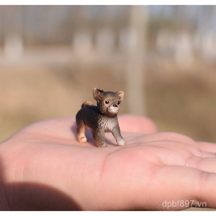 Đức Sile Mini Puppy Puppy Puppy Puppy Mô Phỏng Thú Cưng Trang Trại Động Vật Mô Hình Đồ Chơi Đồ Trang