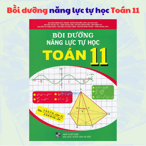 Sách - Bồi dưỡng năng lực tự học Toán 11