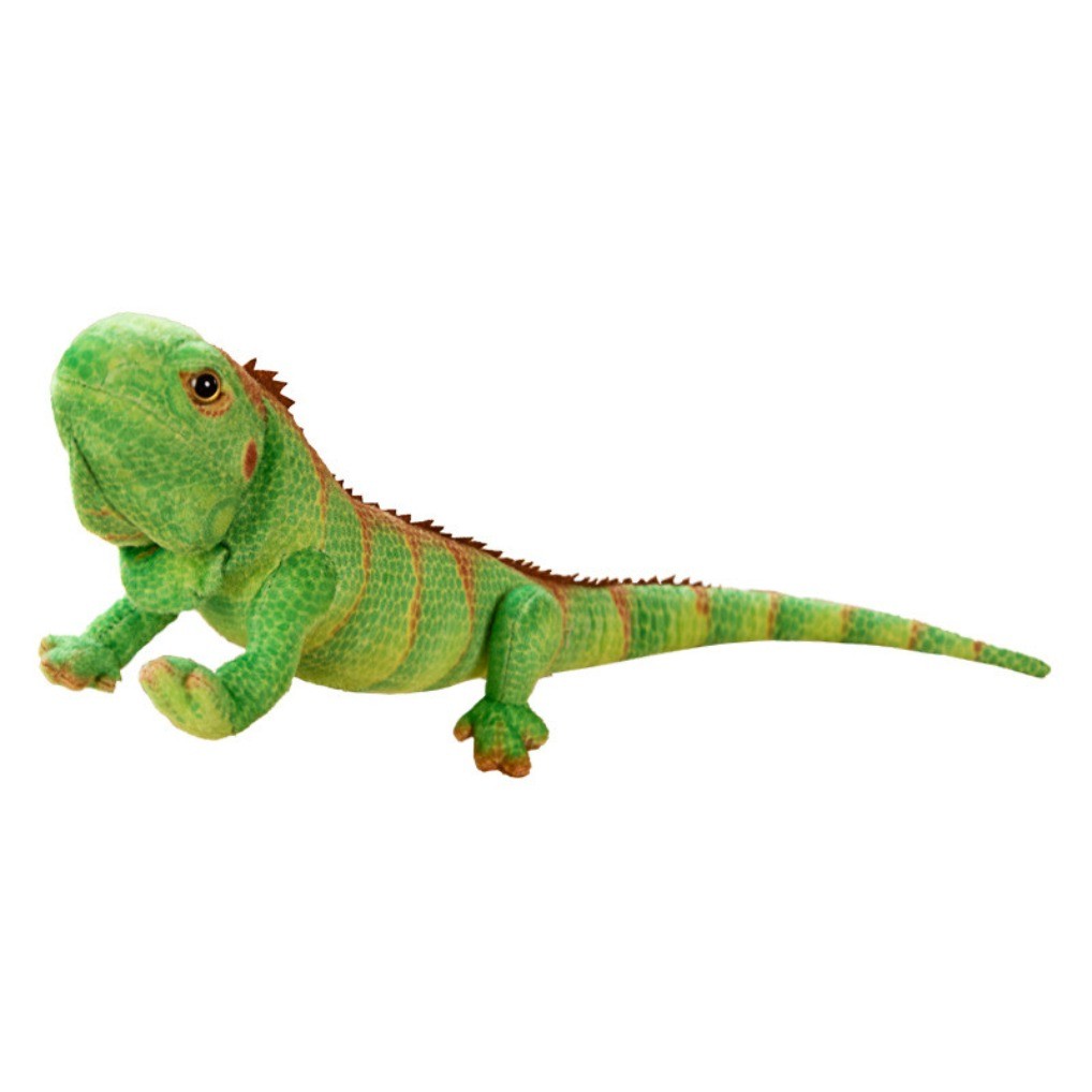 Đồ chơi nhồi bông Iguana xanh thực tế, Động vật nhồi bông cúc ca, Búp bê bò sát dễ thương, dành cho 