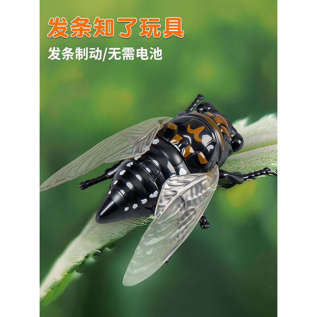 Gió Biết Nó Mô Phỏng Bò Sát Đồng Hồ Đồ Chơi Côn Trùng Đồ Chơi Sáng Tạo Mùa Hè Cicada Vàng Cicada Mô 