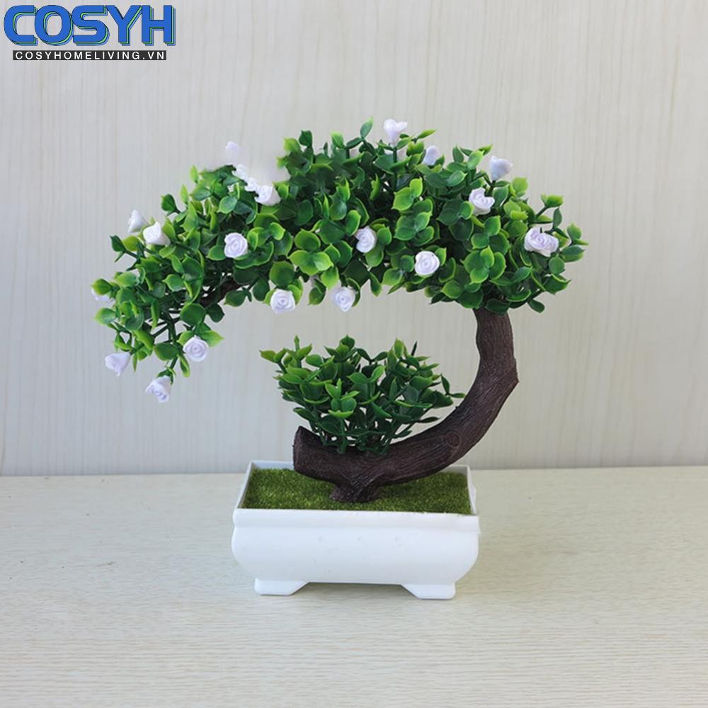 <cosyh>Decorative Artificial Bonsai Tree with Lifelike Design for Home Interior Styling
