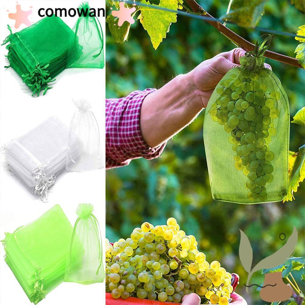 COMOWAN 30 Chiếc Túi Trái Cây Chống Côn Trùng Dụng Cụ Làm Vườn Người Trồng Túi Bảo Vệ Thực Vật Hoa R