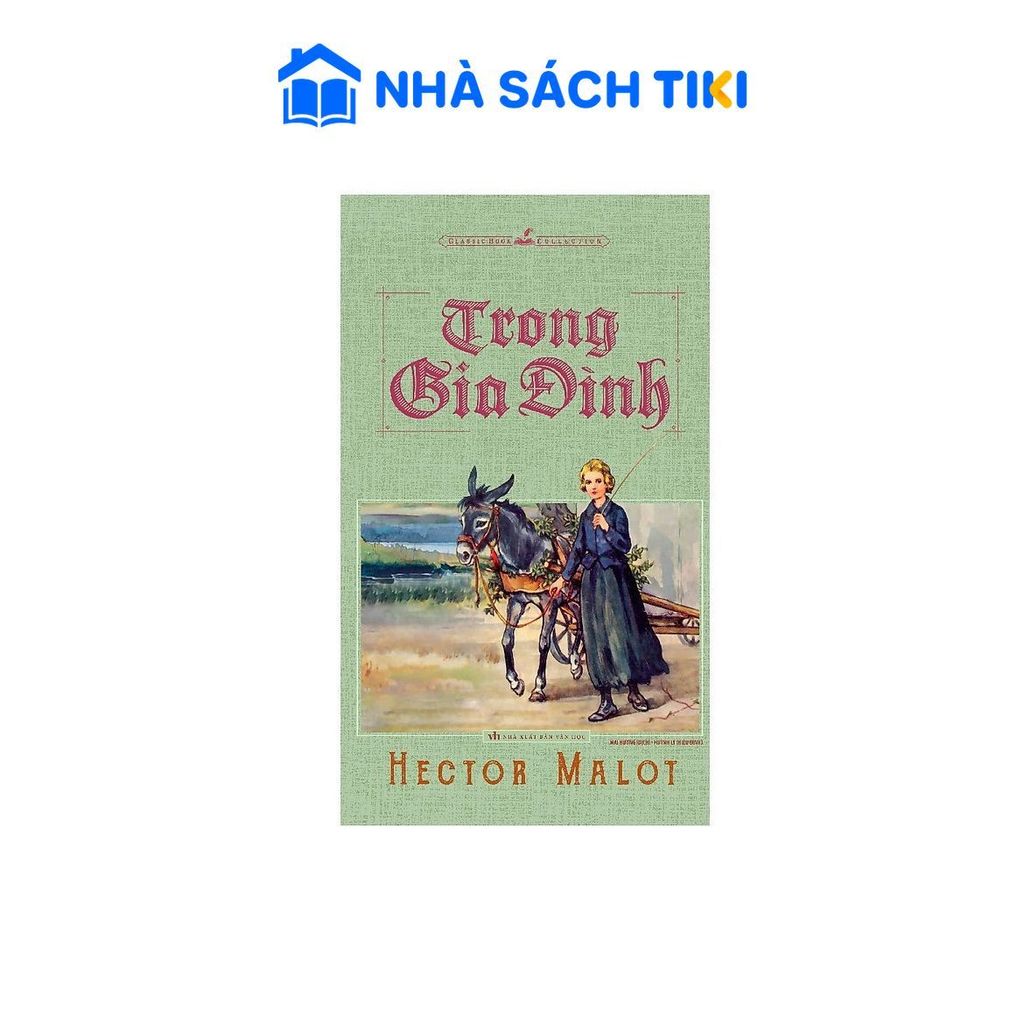 Sách - Trong Gia Đình - Hector Malot
