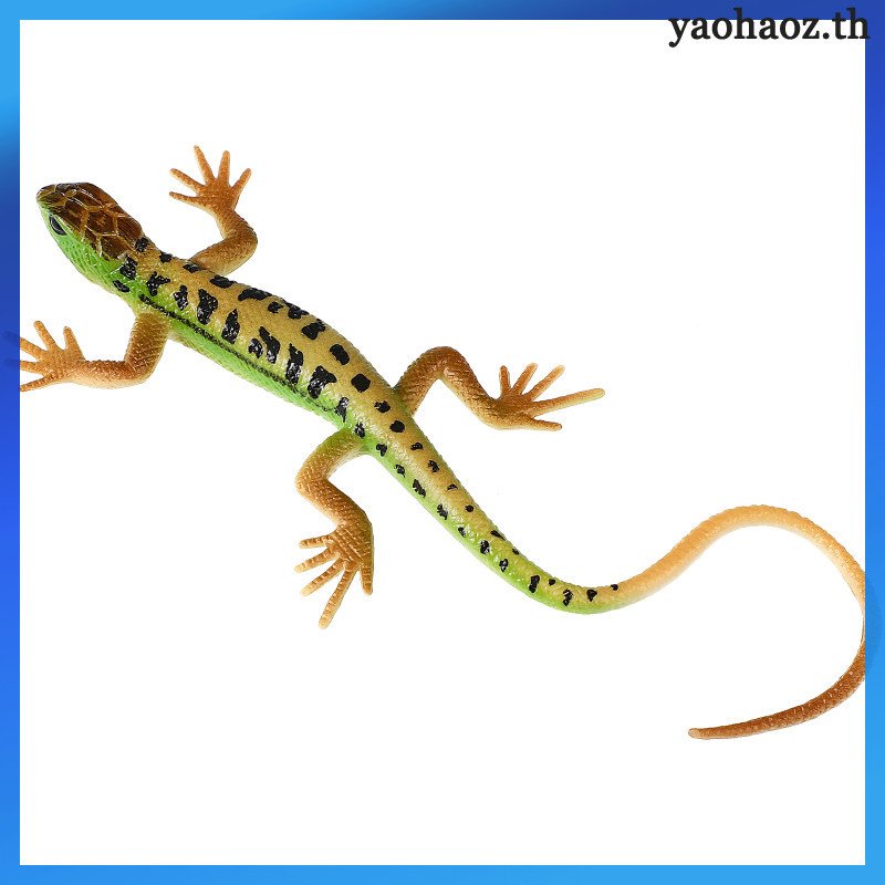 Nhỏ Thằn Lằn Các Bức Tượng Giả Thực Tế Hình Iguana Đồ Chơi Đồ Chơi Cho Trẻ Em Hành Động Giả yaohaoz