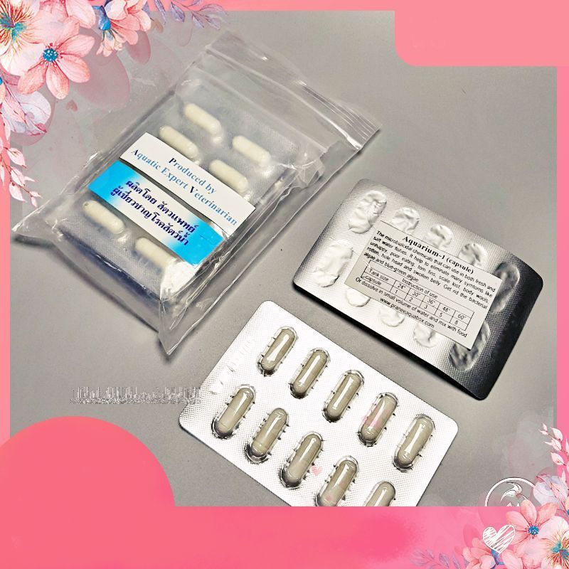 Viên Con Nhộng AQUARIUM-1 [ 1 viên] .namaquatic