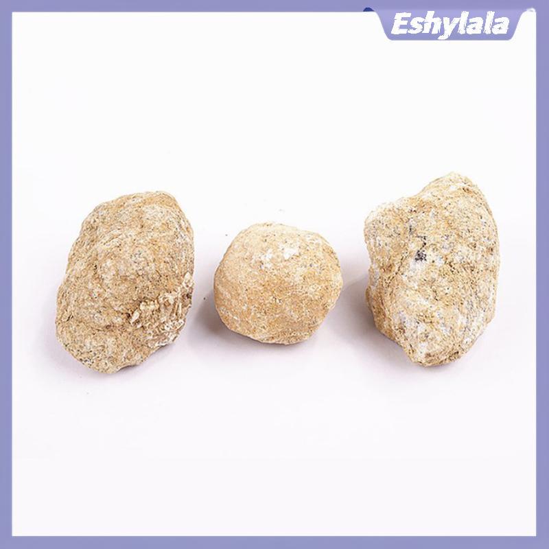 Eshylala Geode Mã Não Pha Lê Nguyên Chất Khoáng Đá Trắng Tự Nhiên Khoang Không Đều