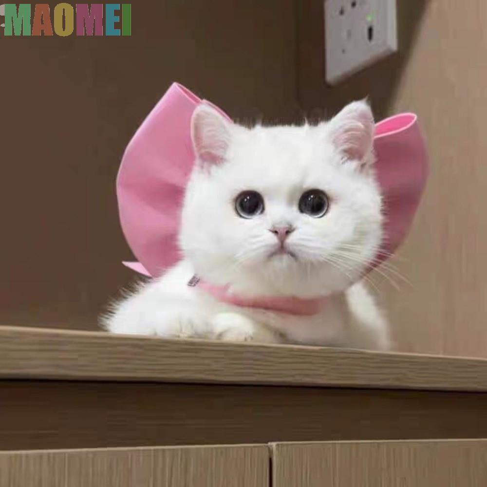 MAOMEI Cat Bow Tie Collar, Mũ nón nơ mèo trang trí có thể điều chỉnh, Thoải mái thanh lịch trang trí