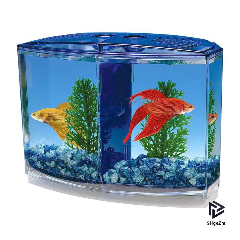 [SHgeZm] Hộp cá chiến đấu đôi lớn Eco Rumble Fish Aquarium Mini Aquarium Hộp cách ly bằng nhựa Hộp n