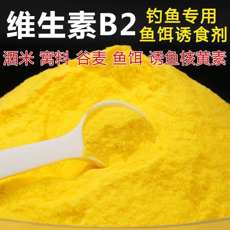 Câu Cá với Vitamin B2 và Bột Mồi Lutein - Tăng cường dinh dưỡng cho cá chép cơm và cá thu