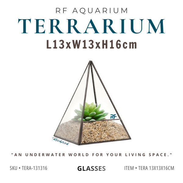 Bể Terrarium 13x13x16cm