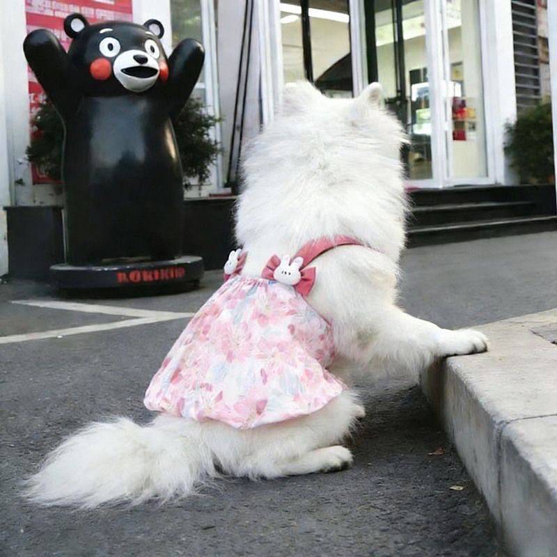 Pet dog clothes dog skirt summer samoyed golden retriever/border collie labrador medium large dog pr