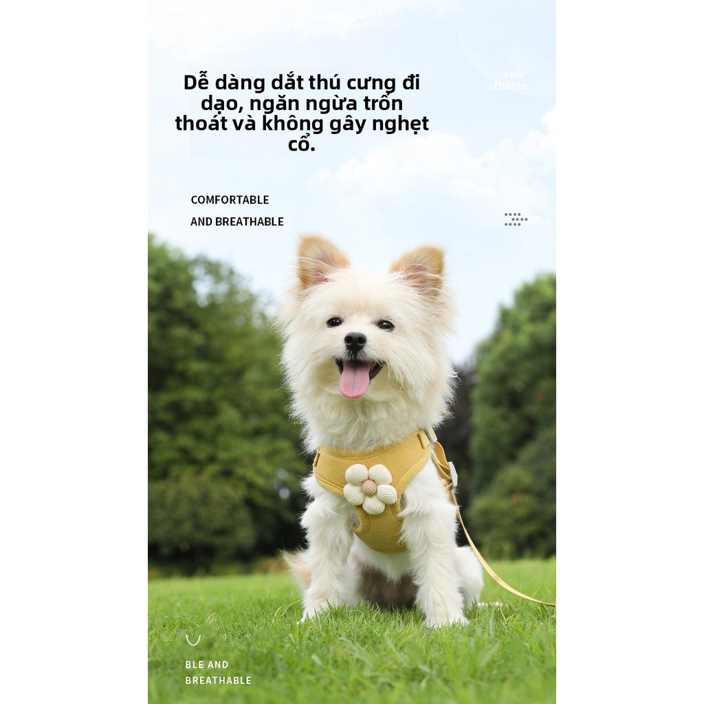 Dễ thươngChó Con Dây Xích Chó Vest Chó Con Nhỏ Teddy Bichon Pomeranian Bichon Dây Đeo Dây Xích Đi Ch
