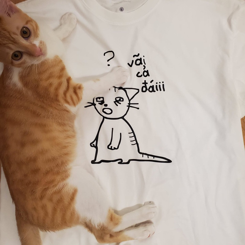 [HOT] Áo thun local brand mèo bễ vcd | Áo Vớ Vẩn Meme hài cute, text vui | Cotton 4 chiều 230gsm | M