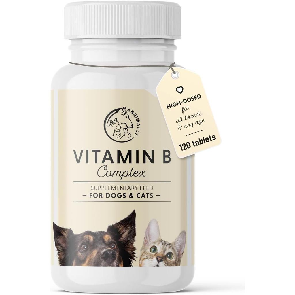 Vitamin B Complex cho s – 120 Viên | Lớp 4 tháng – Vitamin B có hàm lượng cao cho s & s với B1, B2, 