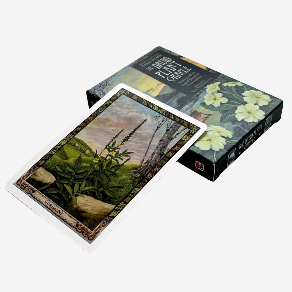 [Hàng có sẵn] 10.4 x 7.3cm Druid Plant Oracle Card Bảng tiếng Anh Trò chơi bài trò chơi Druid Plant 