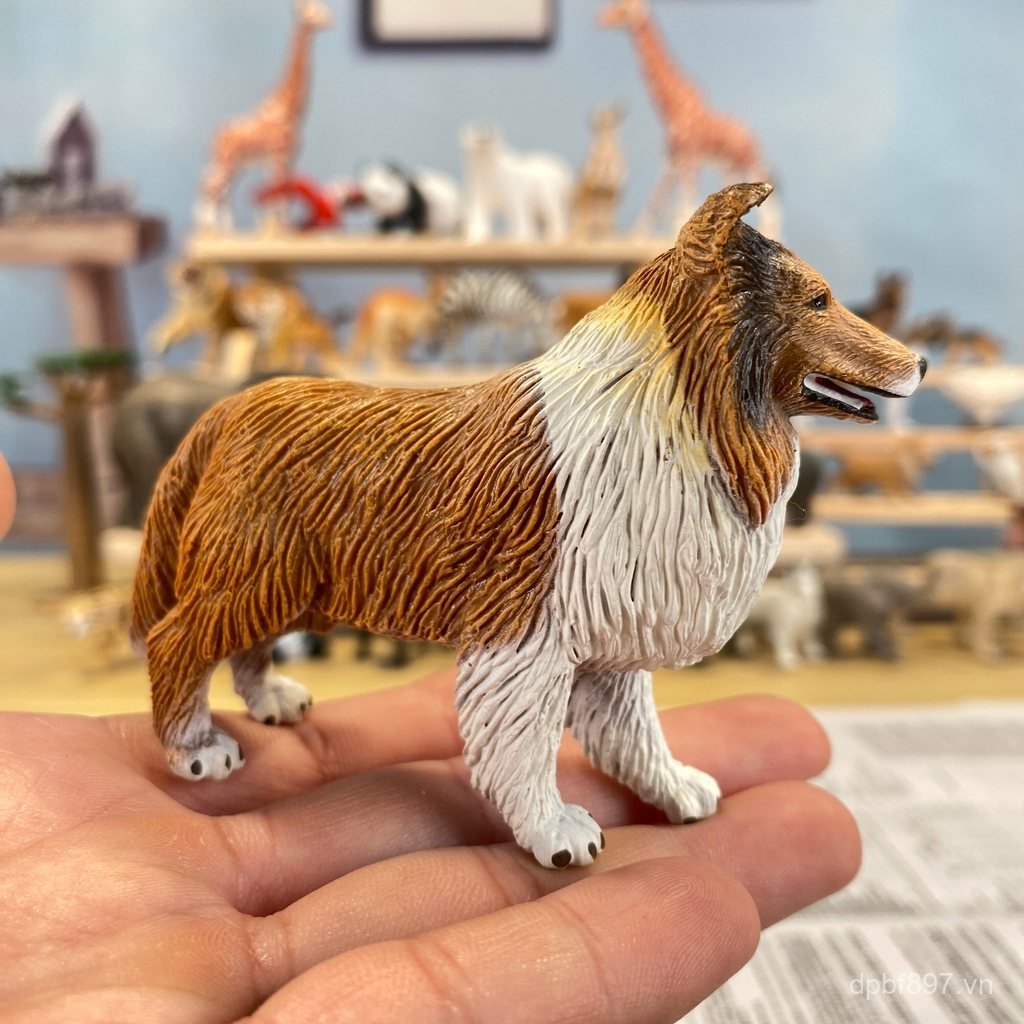 Mô hình chó chăn cừu Safari Collie Border Shepherd Scottish Border Shepherd Dog Model