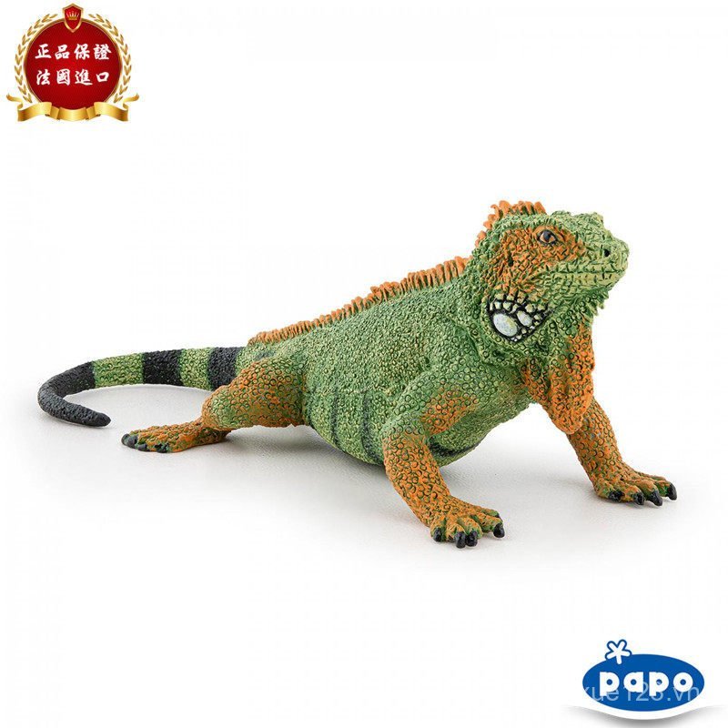 PAPO Pháp 2025 Mới Iguana Iguana Iguana Mô Phỏng Động Vật Mô Hình Đồ Chơi Trẻ Em 50306