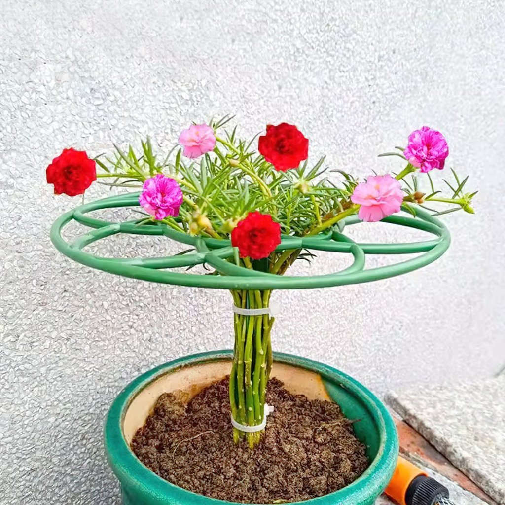 Khung giá đỡ hoa mười giờ，giàn leo  MU888