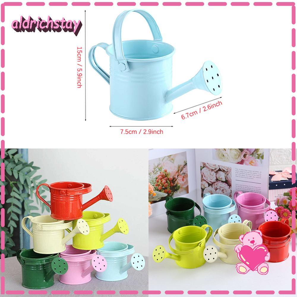 Bình tưới nước EXODUS Home Chậu phun nước cổ điển Mini