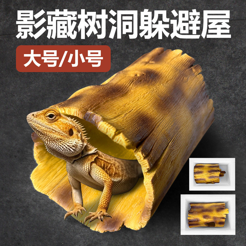 ❈ ❈ ❈ ❈ ❈ ❈ ❈ ❈ ❈ ❈ ❈ ❈ ❈ ❈ ❈ ❈ ❈ ❈ ❈ ❈ ❈ ❈ ❈ ❈ ❈ ❈ ❈ ❈ 🍒 ❈ 2026.3 Land Turtle, Bearded Dragon Lizar