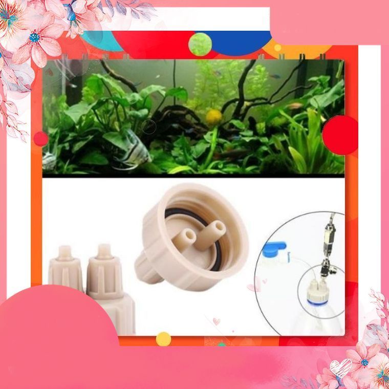 Nắp chế CO2 | DIY CO2 - Nắp chế bình CO2 cho bể cá thuỷ sinh