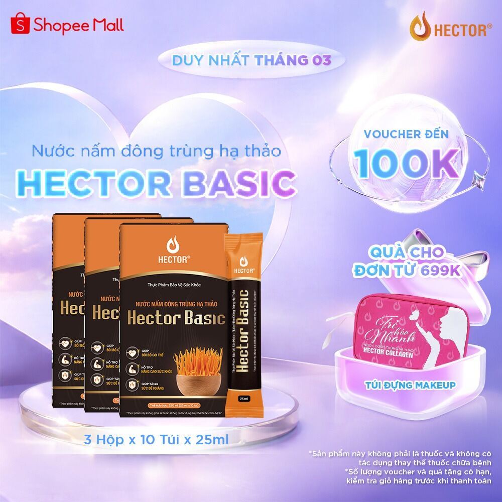 Bộ 3 Hộp Nước nấm Đông Trùng Hạ Thảo Hector Basic hỗ trợ bồi bổ sức khỏe hằng ngày ( 3 hộp x 10 gói 