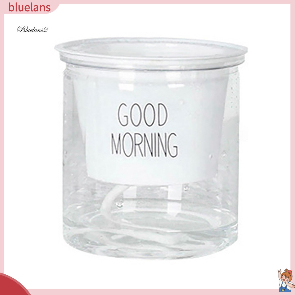 BLU 2 Bộ Hai Tầng Thủy Canh Epipremnum Aureum Tự tưới Hoa Trang Trí Nhà