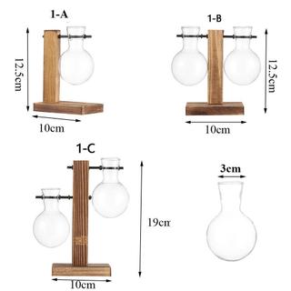 Benytro thủy tinh trồng cây kiểu dáng vintage độc đáo