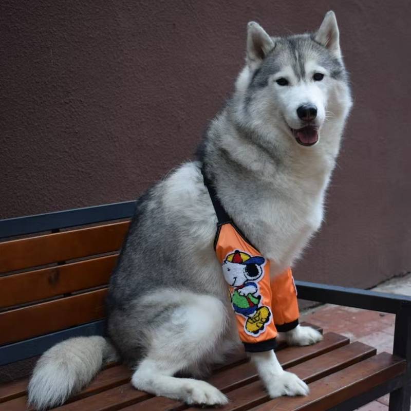 Big Dog Cartoon Towel Embroidery Elbow Pad Anti-Wear Anti-Licking Elbow Joint Front Leg Protection M