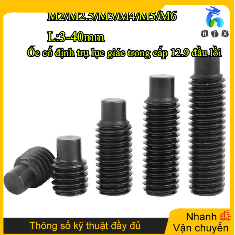 12.9 Lớp Hình Trụ Chắc Chắn Lục Giác Ổ Cắm Vít Bump Machine Meter Nails M2 / M2.5 / M3 / M4 / M5 / M