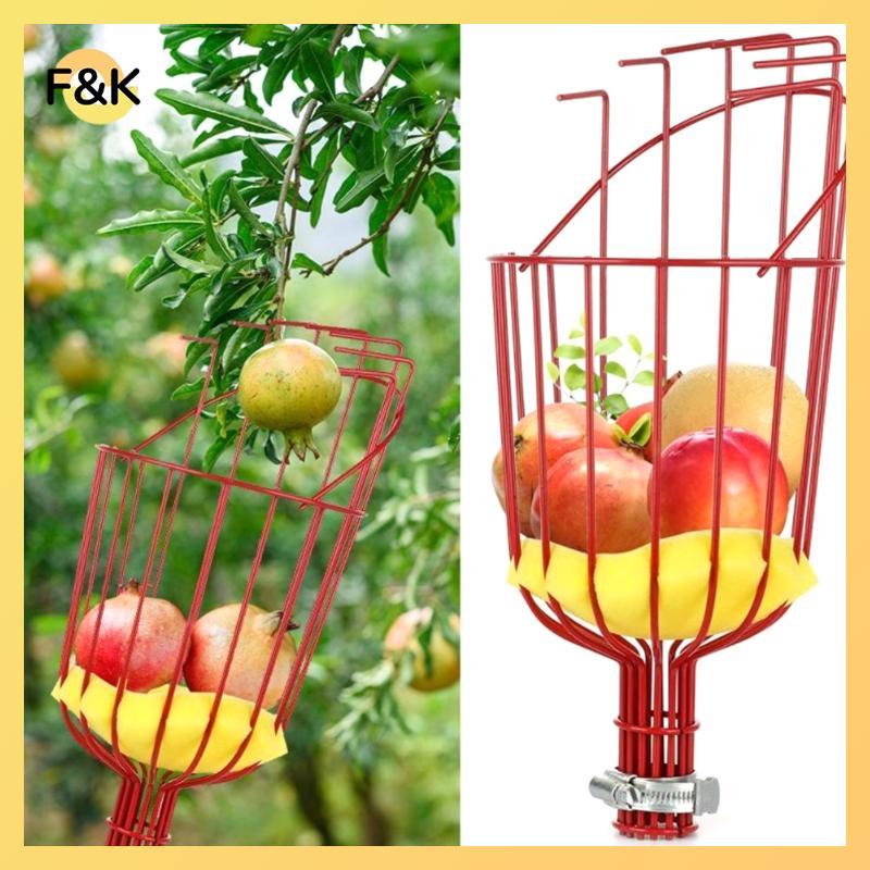 F & K Deep Basket Fruit Pier Tiện lợi Fruit Pier Catcher Peach Piing Farm Garden Piing Dụng cụ làm v