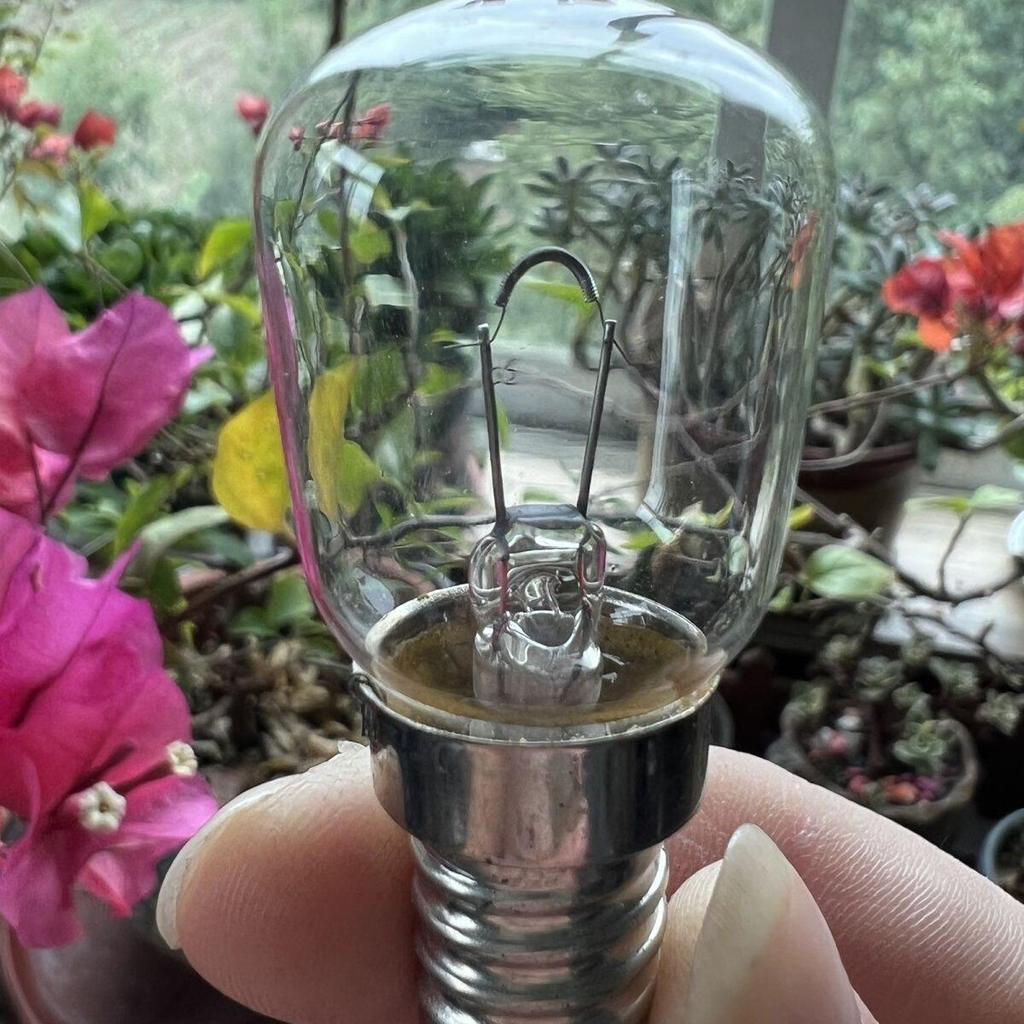 Bóng Đèn Lò Nướng 12V E14 Vít Chịu Nhiệt Độ Cao 300 Độ 500 Độ Tủ Cách Nhiệt Tiết Kiệm Năng Lượng Chi