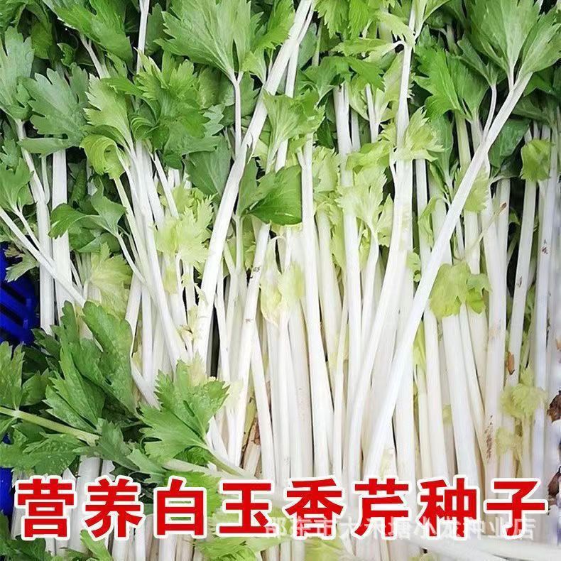 Cây trồng trong chậu ban công bốn mùa Rau củ Daejeon