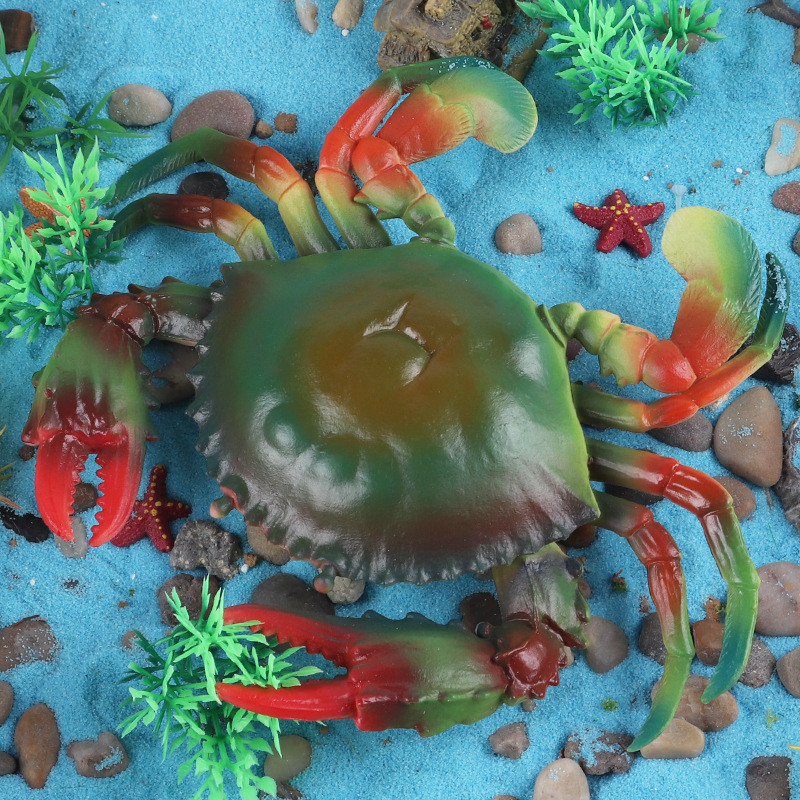 Trẻ Em Nhận Thức Mô Phỏng Cua Đại Dương Đồ Chơi Mô Hình Lông Cua Vua Cua Xanh Cua Bánh Mì Cua Cua Mô