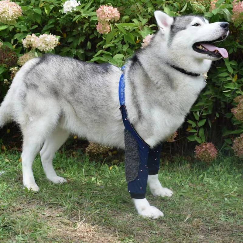 Big Dog Anti-Wear Anti-Licking Elbow Support Adjustable Elastic Band Elastic Fabric Front Leg Joint 