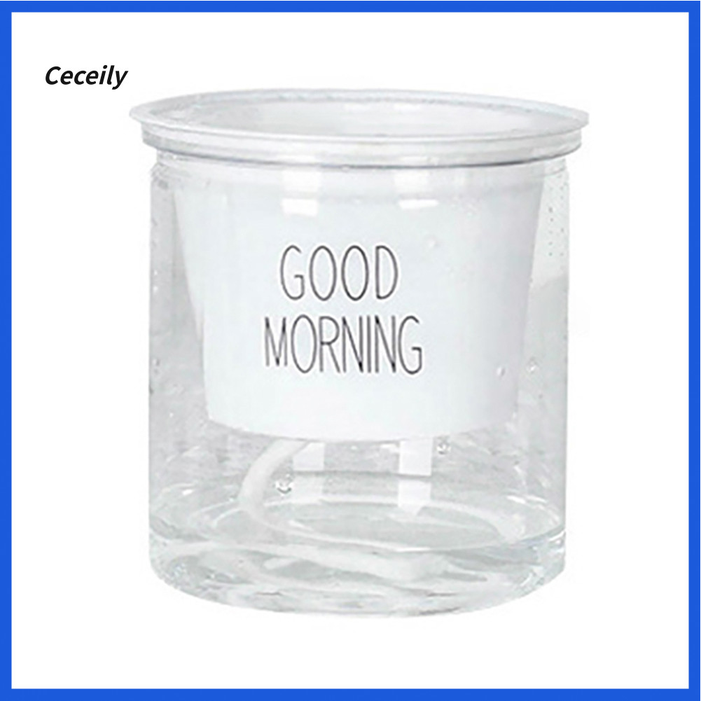 Ceceily 2 Bộ Hai Tầng Thủy Canh Epipremnum Aureum Tự tưới Hoa Trang Trí Nhà