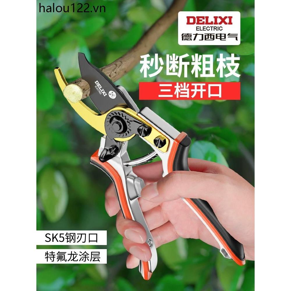 Delixi Cắt Tỉa Kéo Làm Vườn Kéo Cắt Tỉa Vườn Cây Quả Cắt Tỉa Đặc Biệt Kéo Hoa Nghệ Thuật Cắt Tỉa Hoa