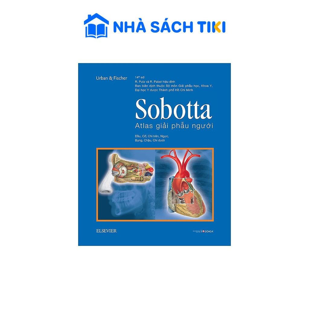 Sách Sobotta Atlas Giải Phẫu Người - Đông A Books