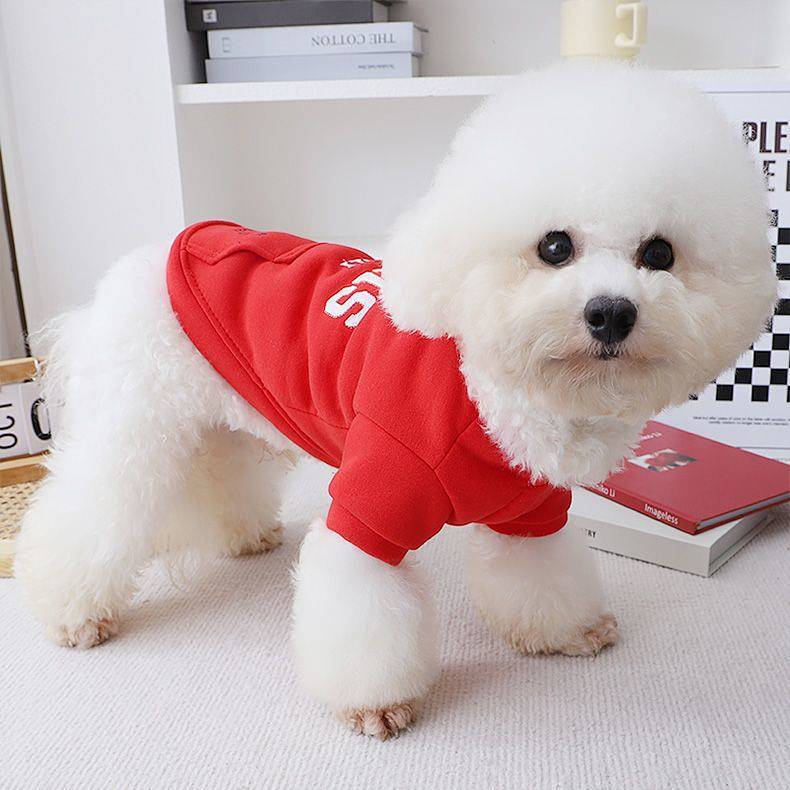Dog New Year Clothes Horse Year Bichon Red Sweater Winter Thickening Chinese New Year Celebration Jo