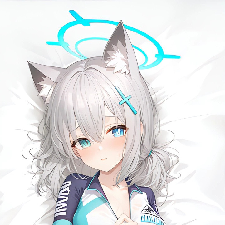 Blue Archive Sunohara Shiroko Anime Dakimakura Vỏ gối hai mặt In HD