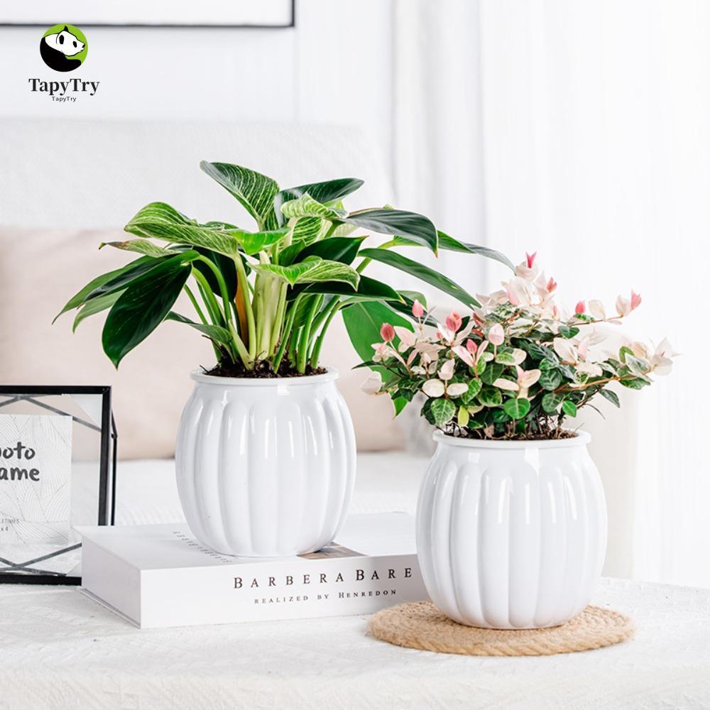 Chậu hoa thủy canh ALISON, Chậu hoa thấm nước trong suốt phong cách Bắc Âu, Chậu có dây Cotton Nhựa 