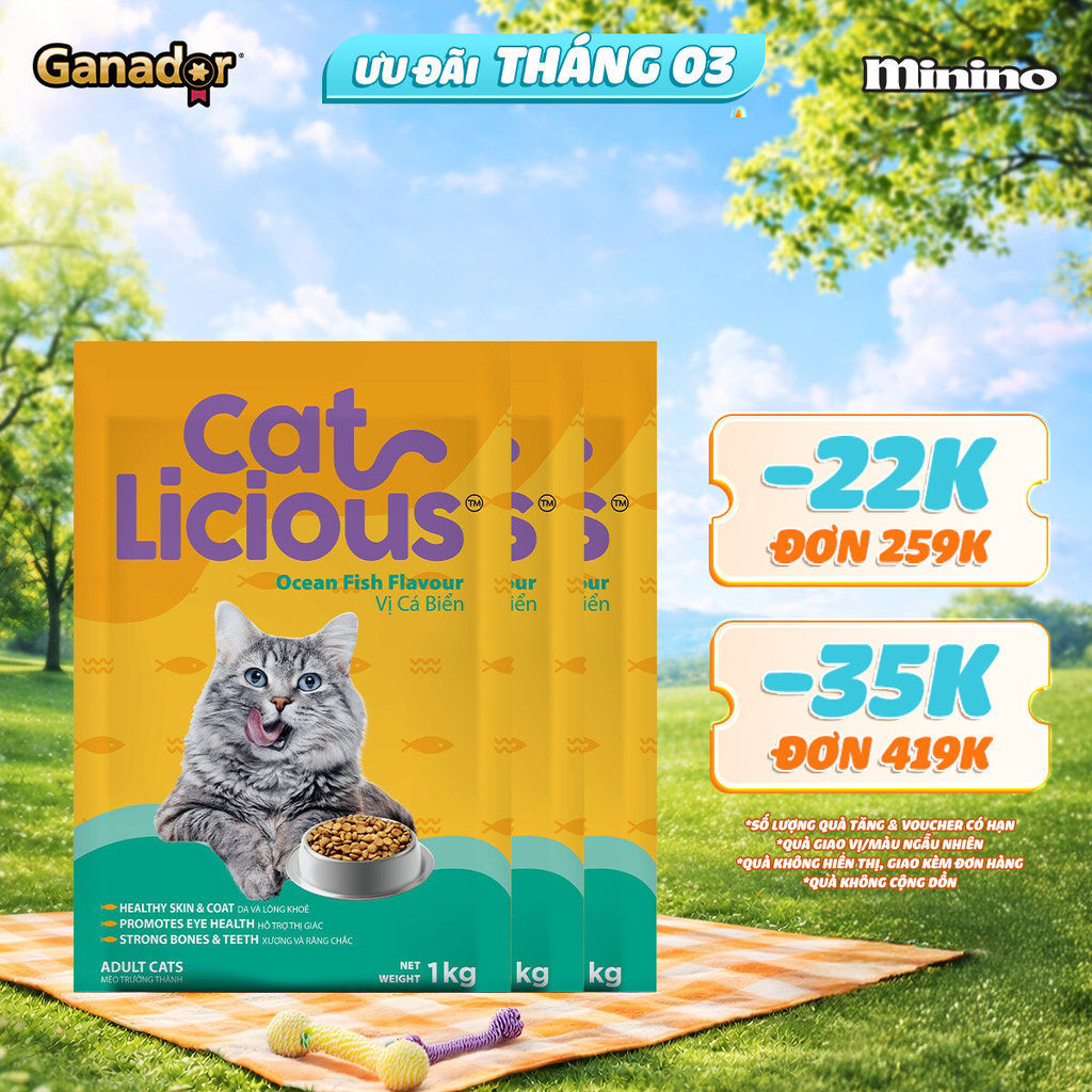 Combo 3 x Thức ăn hạt Catlicious cho mèo vị Cá biển túi 1kg