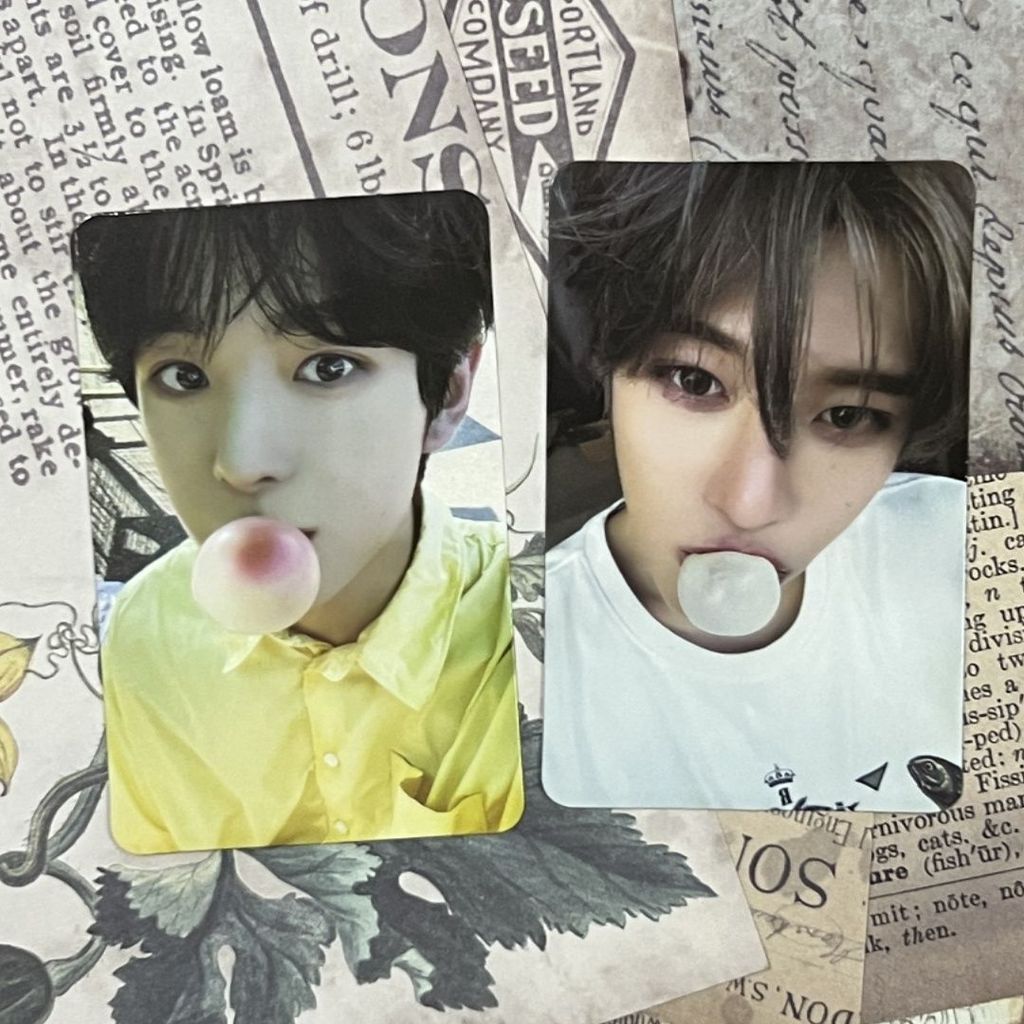 NCT wish sakuya bong bóng u yushi riku Wu là bong bóng bột ấm
