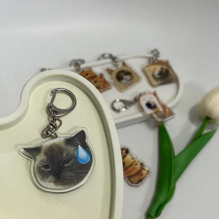 [TCS] Gantungan Akrilik Gambar Meme Kucing Anjing Untuk Kunci Tas - A