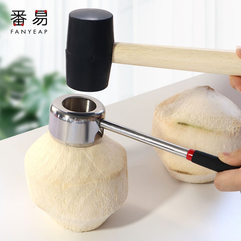 / Open Shell A1v-Open Coconut Old Coconut Open Shell Coconut Open Cap Open Open Open Opener 26.3.13