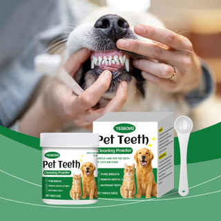 Bột làm sạch răng cho thú cưng 100g Chiết xuất bạc hà Kali Sorbate Ong Chiết xuất cho chó Mèo Tartar Mảng bám Hỗ trợ độ tươi răng miệng