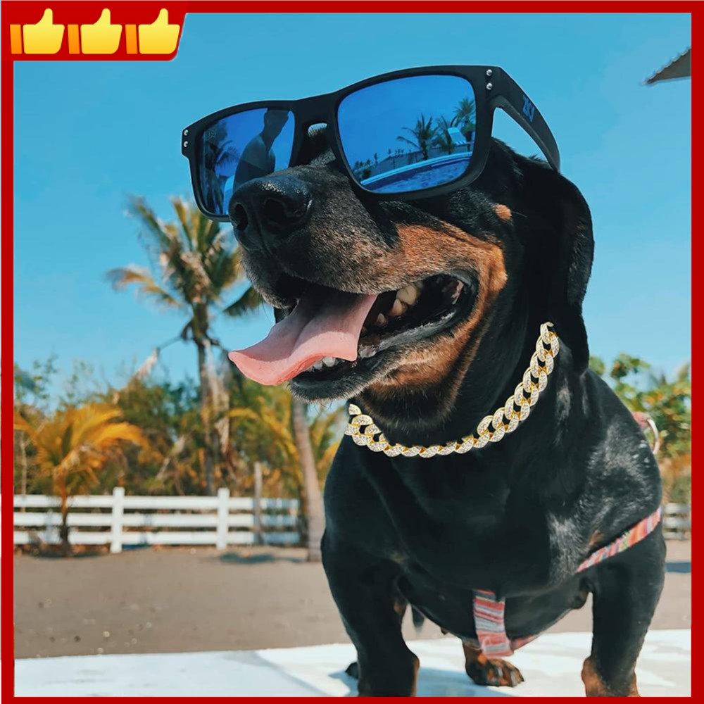 Hợp Kim Kẽm Bạc Cổ Chó Vòng Cổ Vàng / Bạc Vòng Cổ Cho Thú Cưng Cho Chương Trình Mặc Hàng Ngày Đi Bộ