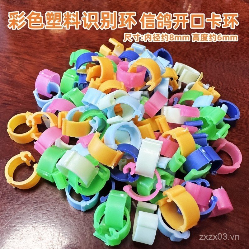 [Vòng nhận dạng nhựa đầy màu sắc] Believe Pigeon Foot Ring Pigeon Ring Foot Ring Foot Ring Pigeon Su